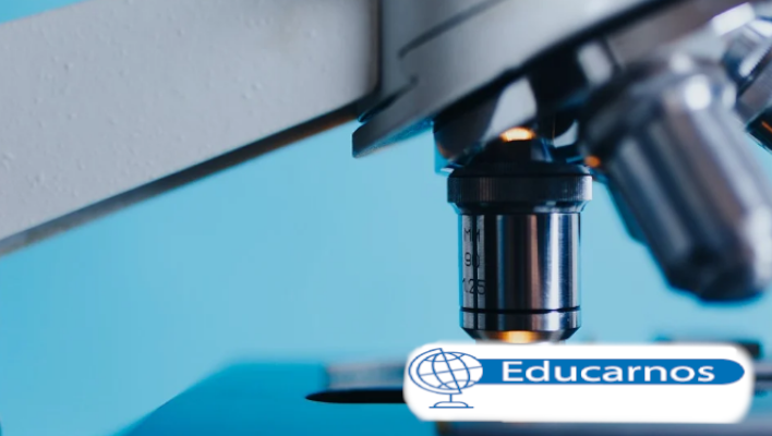 Curso virtual de Pensamiento